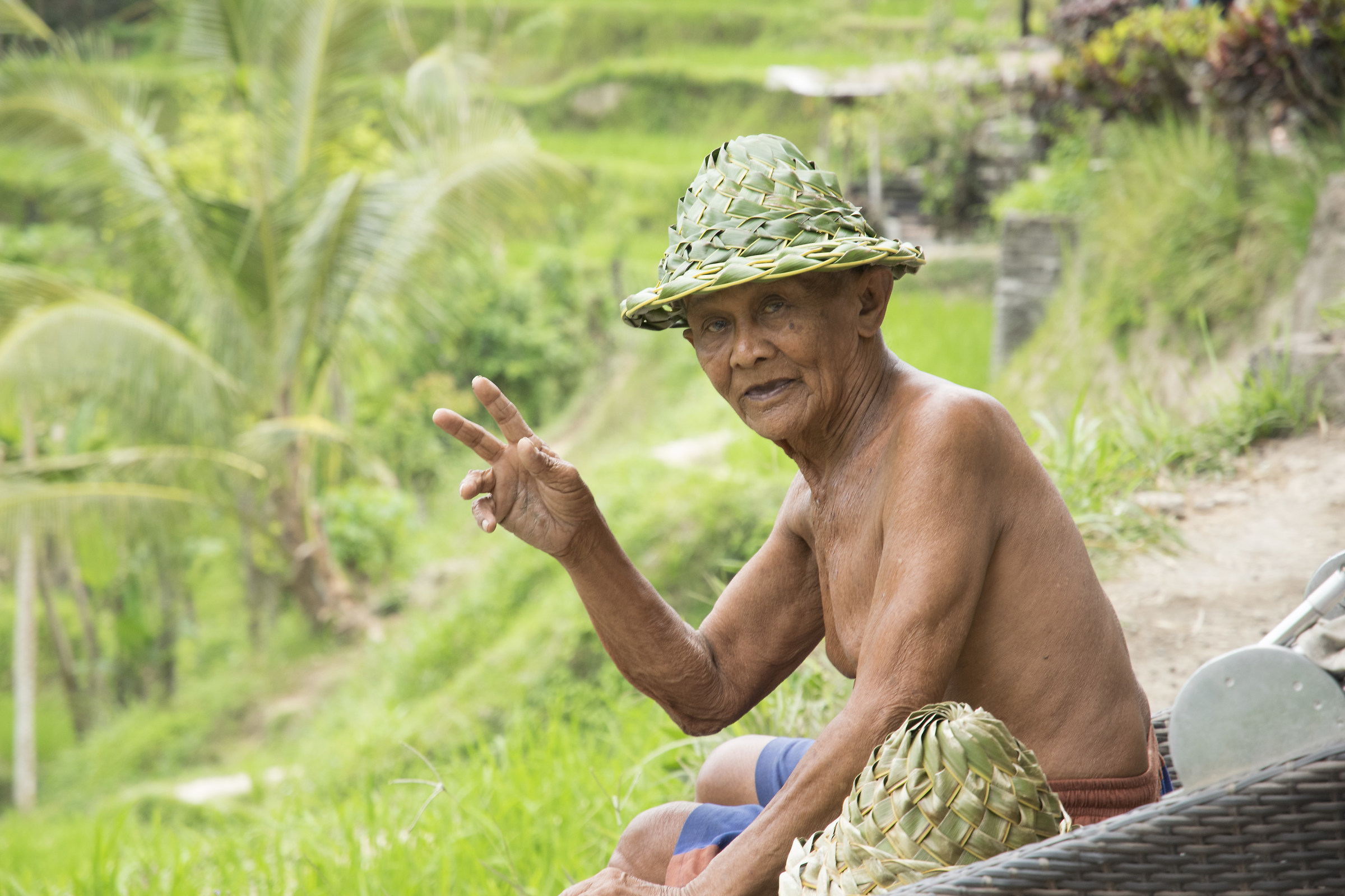 Le terrazze di riso Bali,Indonesia