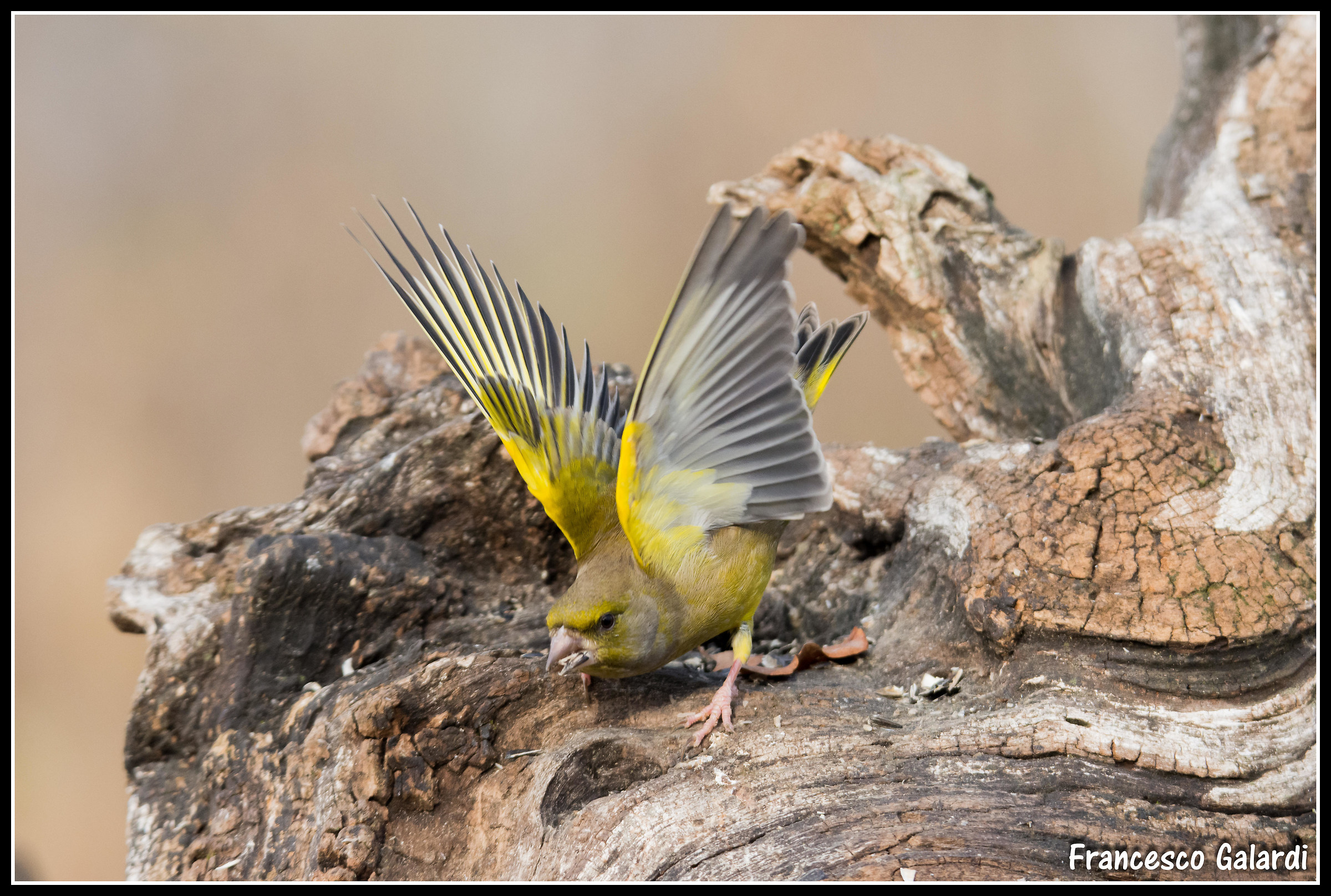 Verdone angry (for a change)