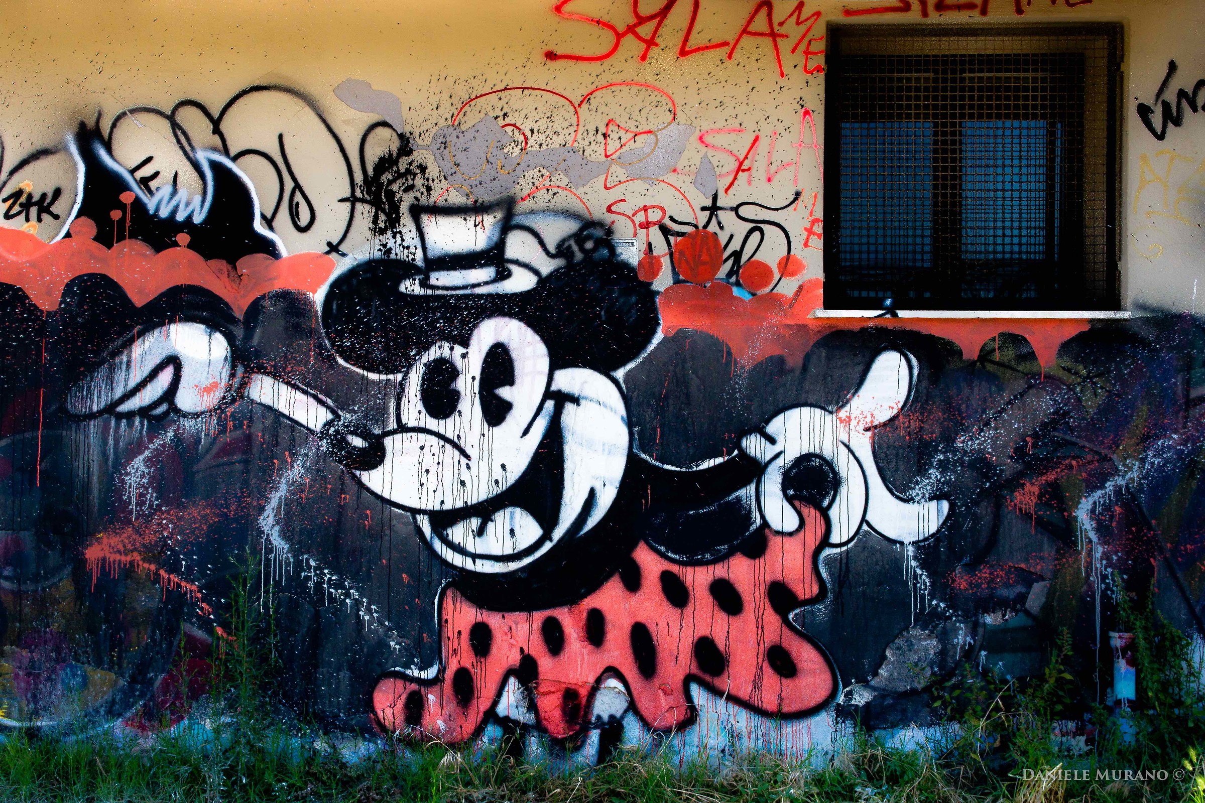 Good morning with bow !!!