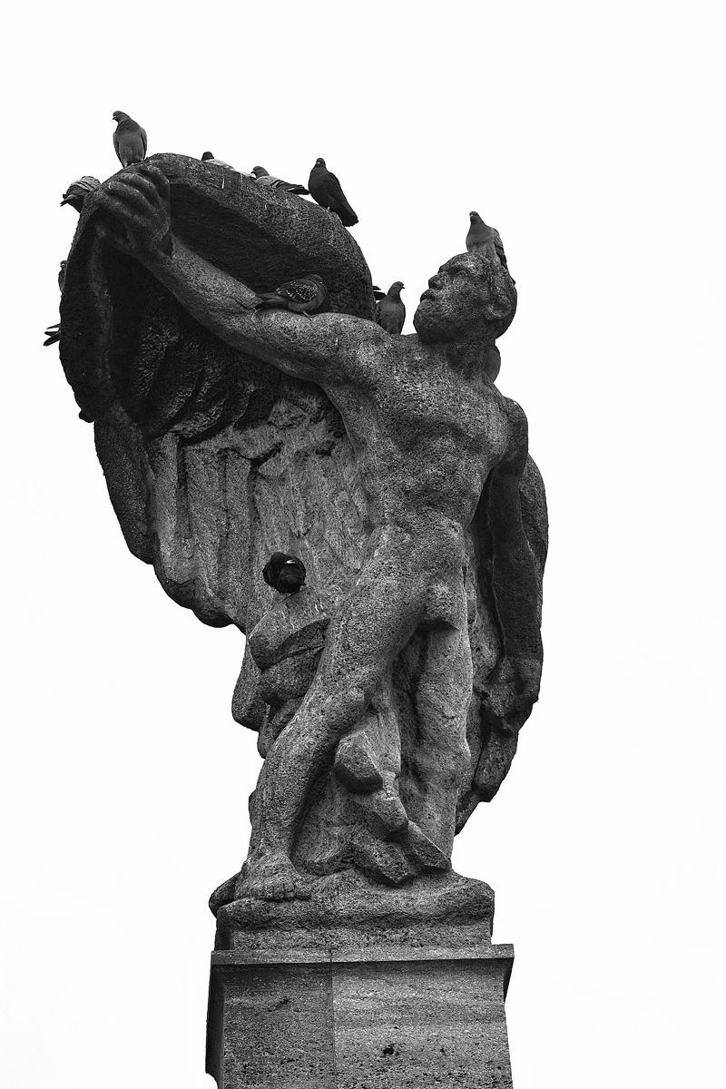 Ora fate i bravi e scendete!