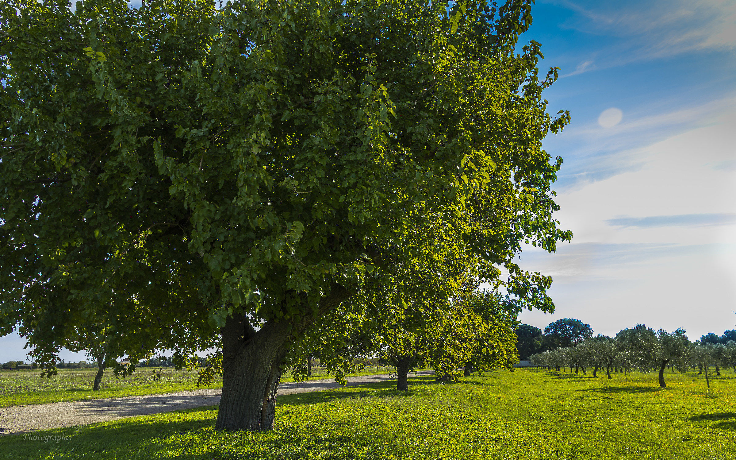 Crazy November - April seems colors!
