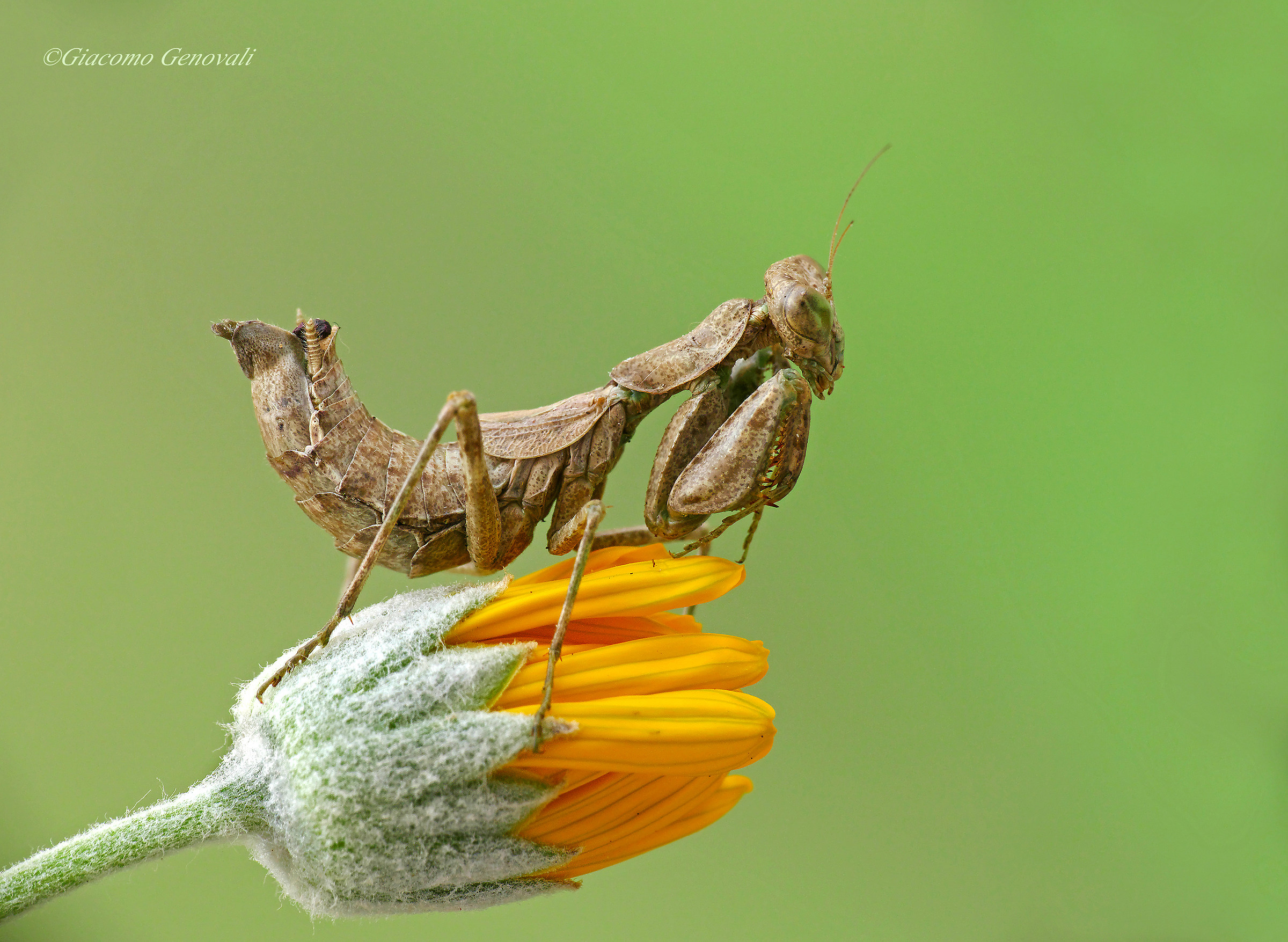 we test the new bridge