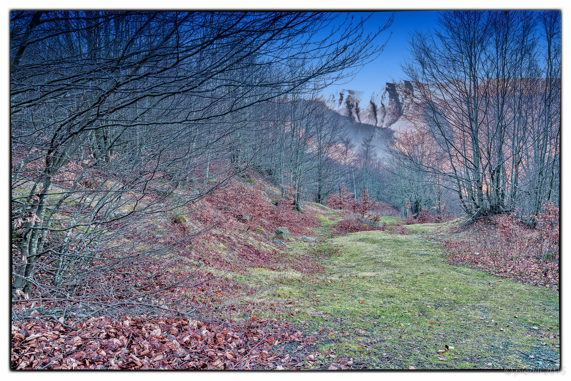 Autumn is finished ....