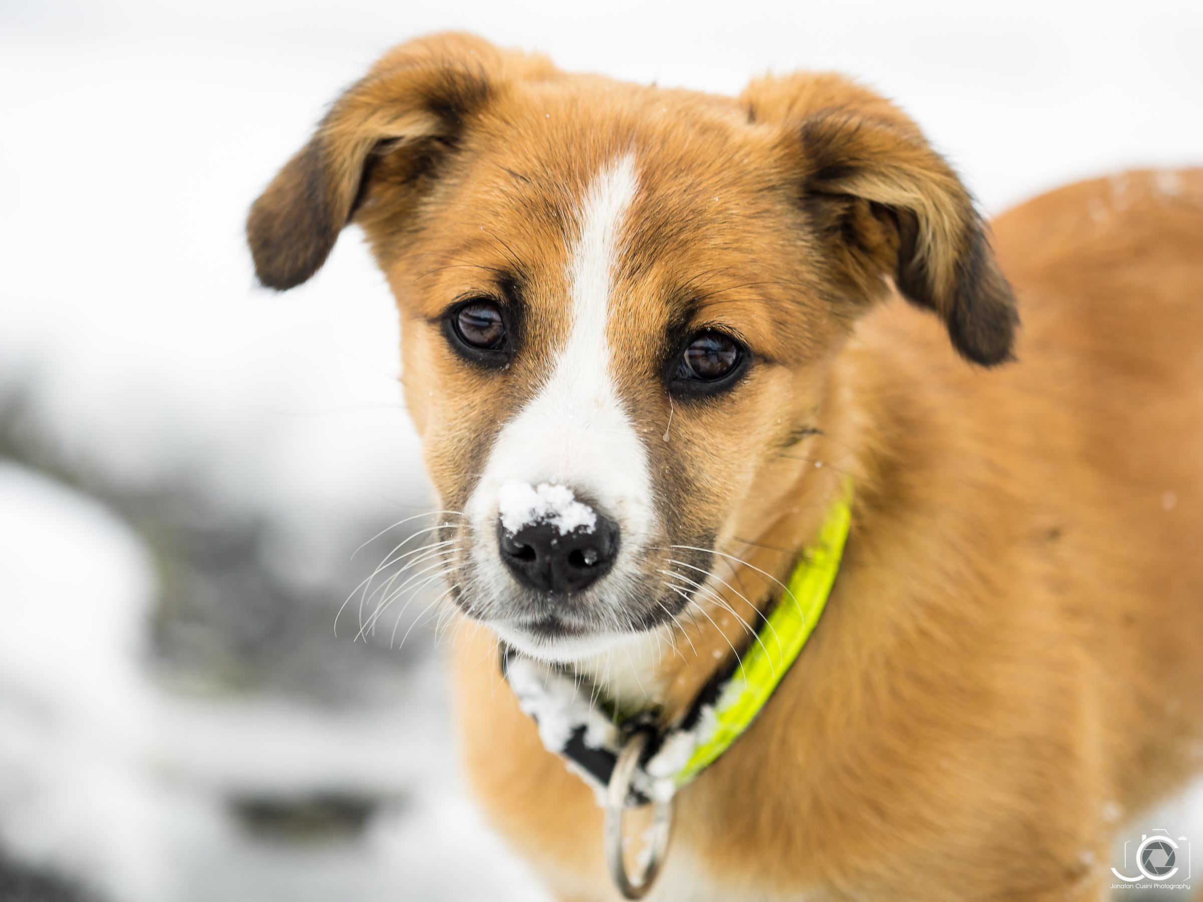 A tear on the face...