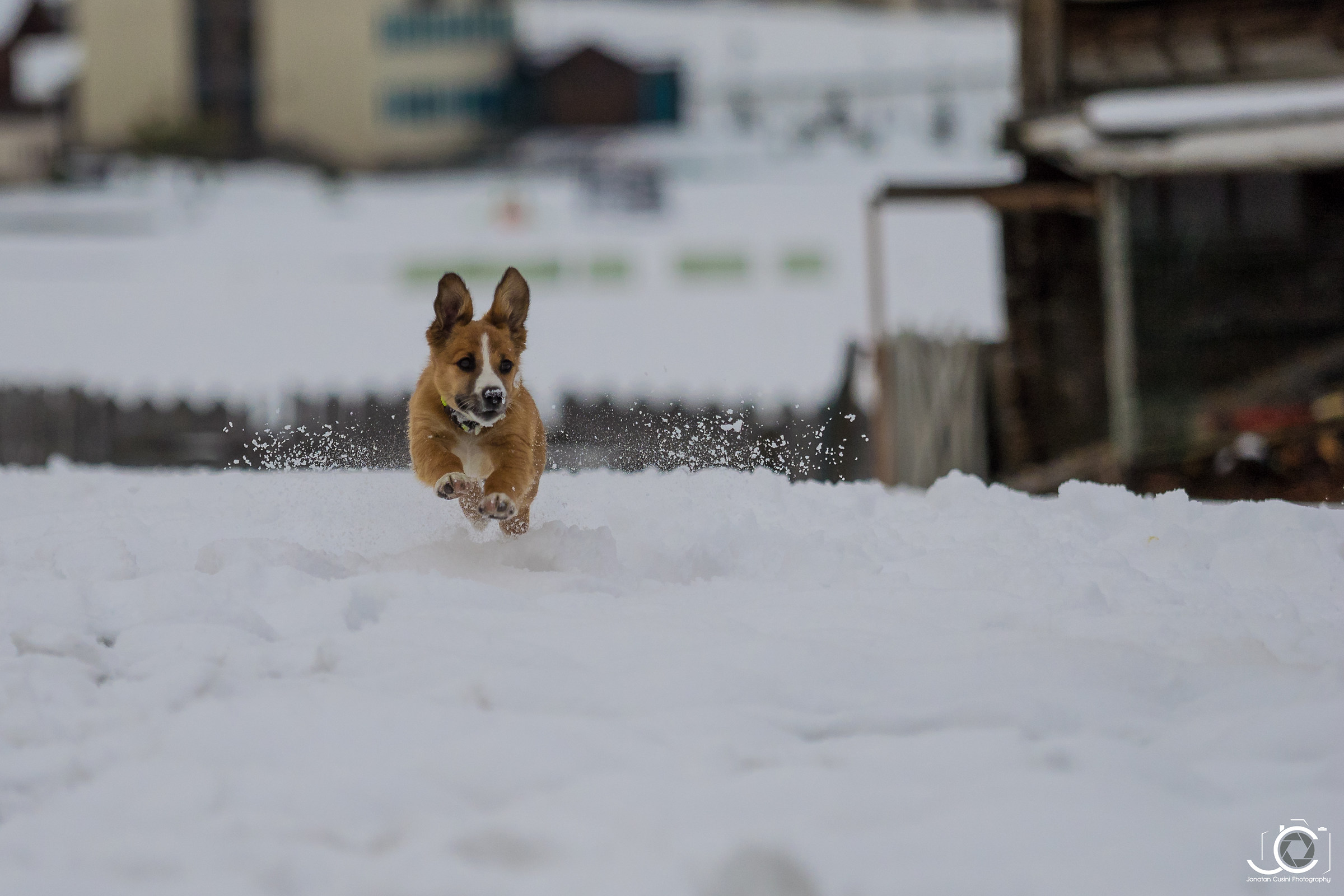 The first snowfall can never be forgotten