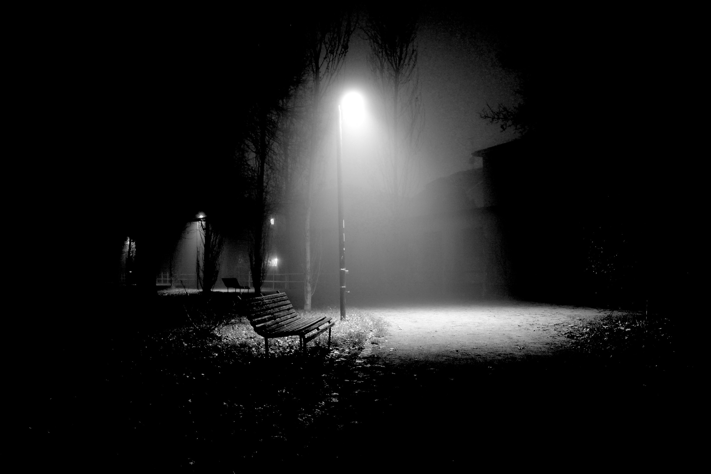 Foggy night