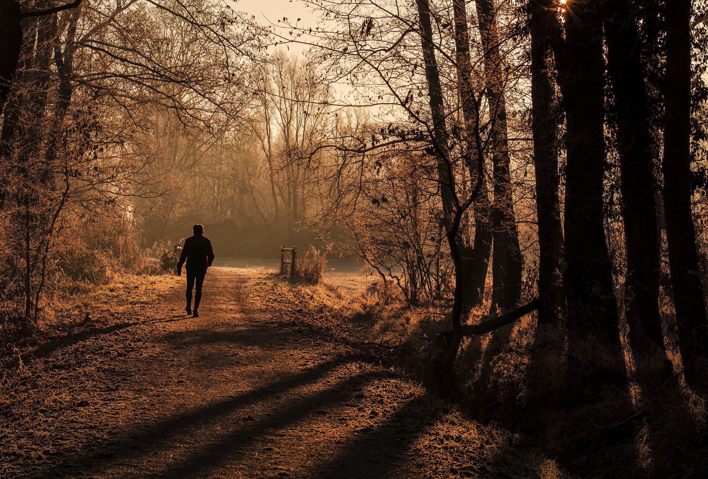 Passeggiata mattutina