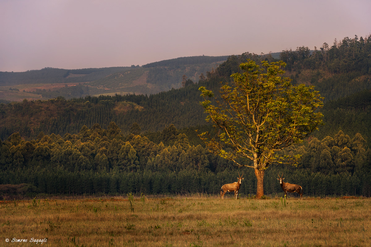 From here you do not pass