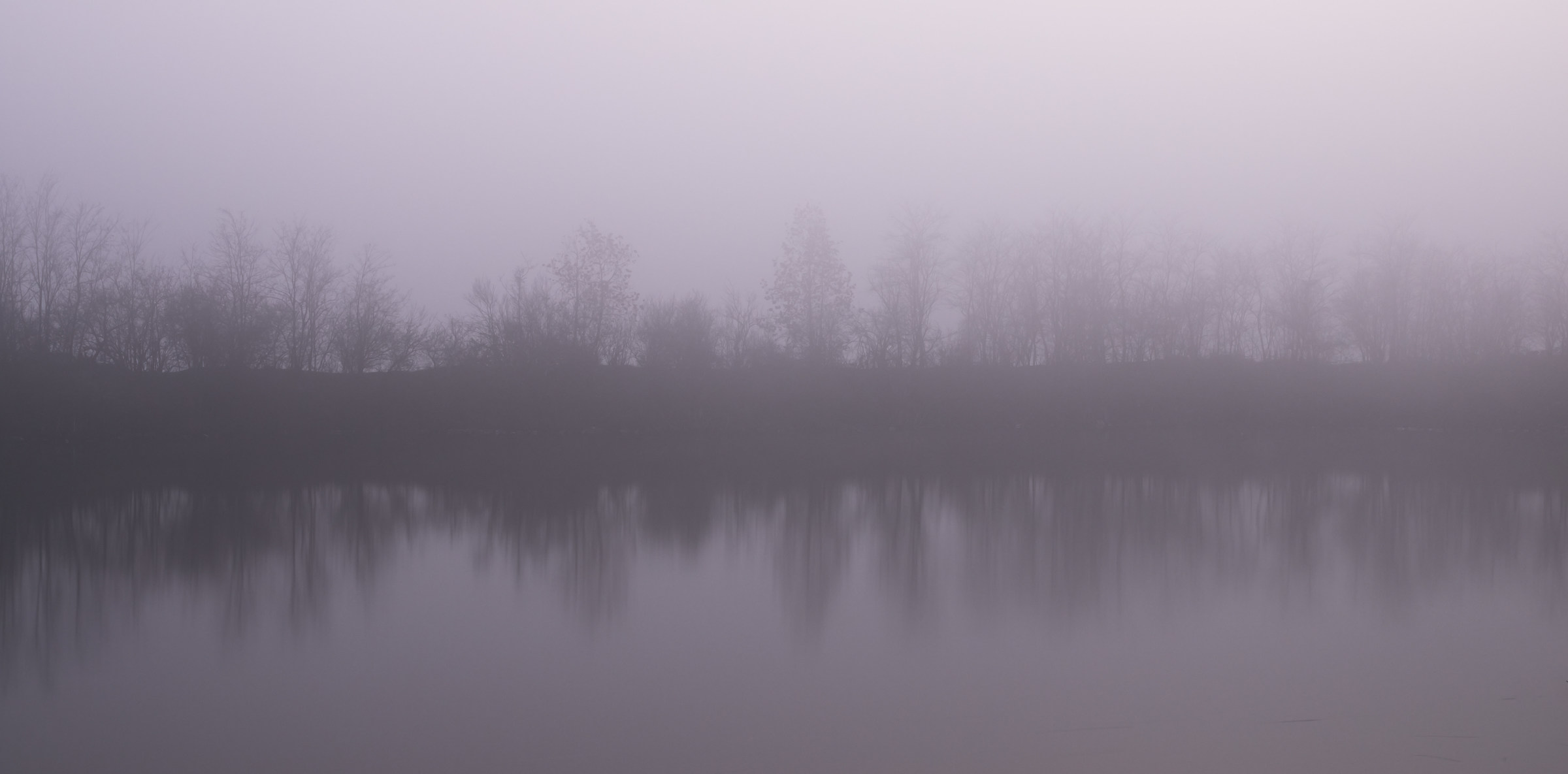 Nebbia in Val Padana