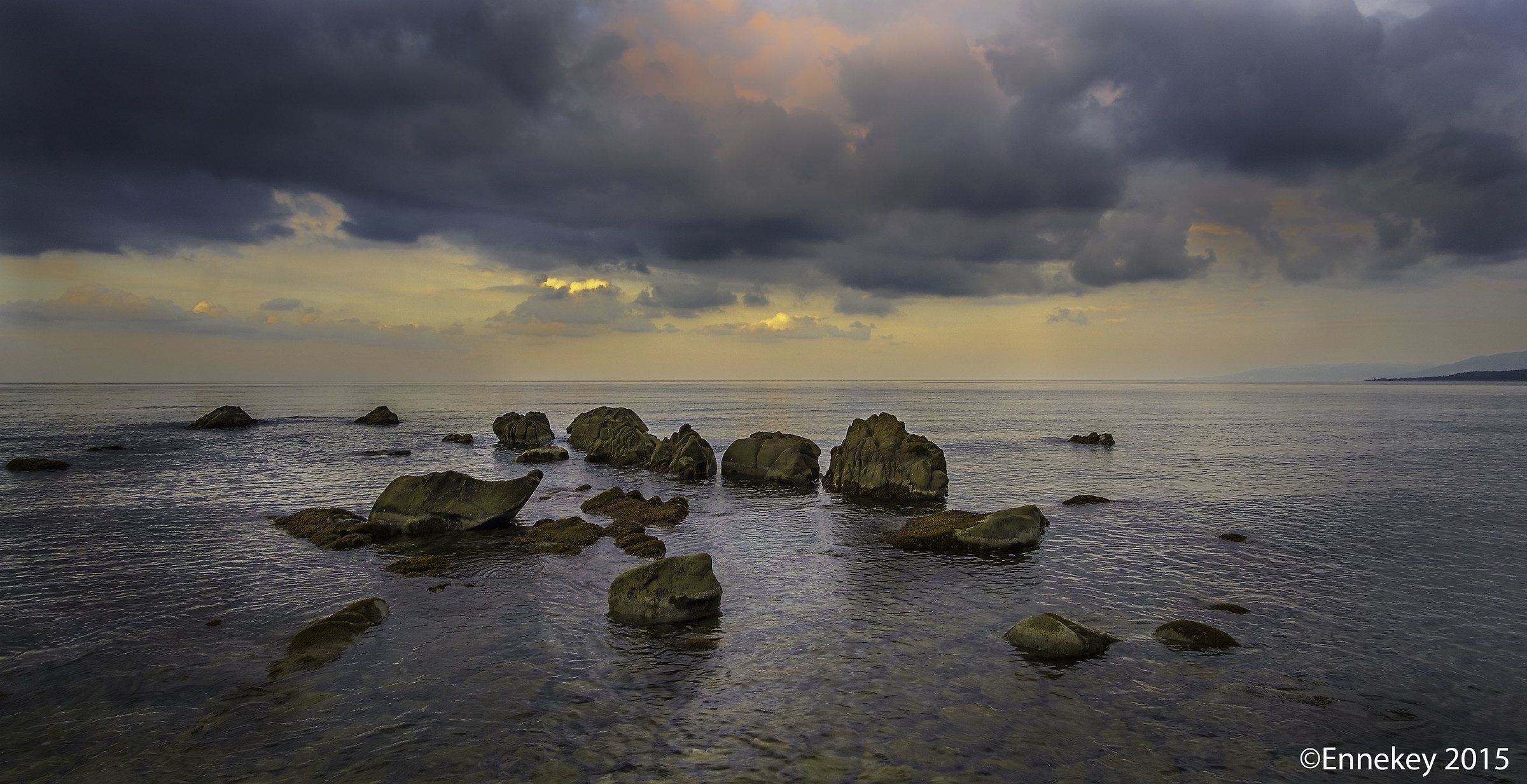 New forms at low tide ...