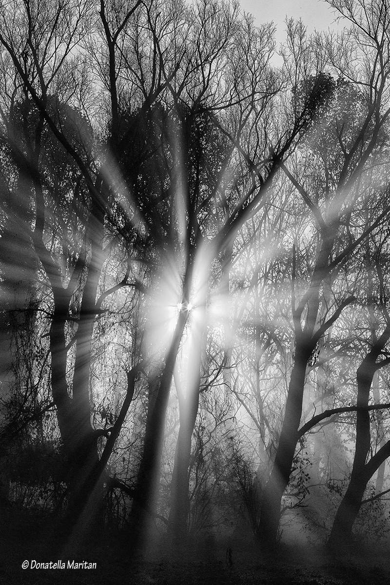 Greetings, good light