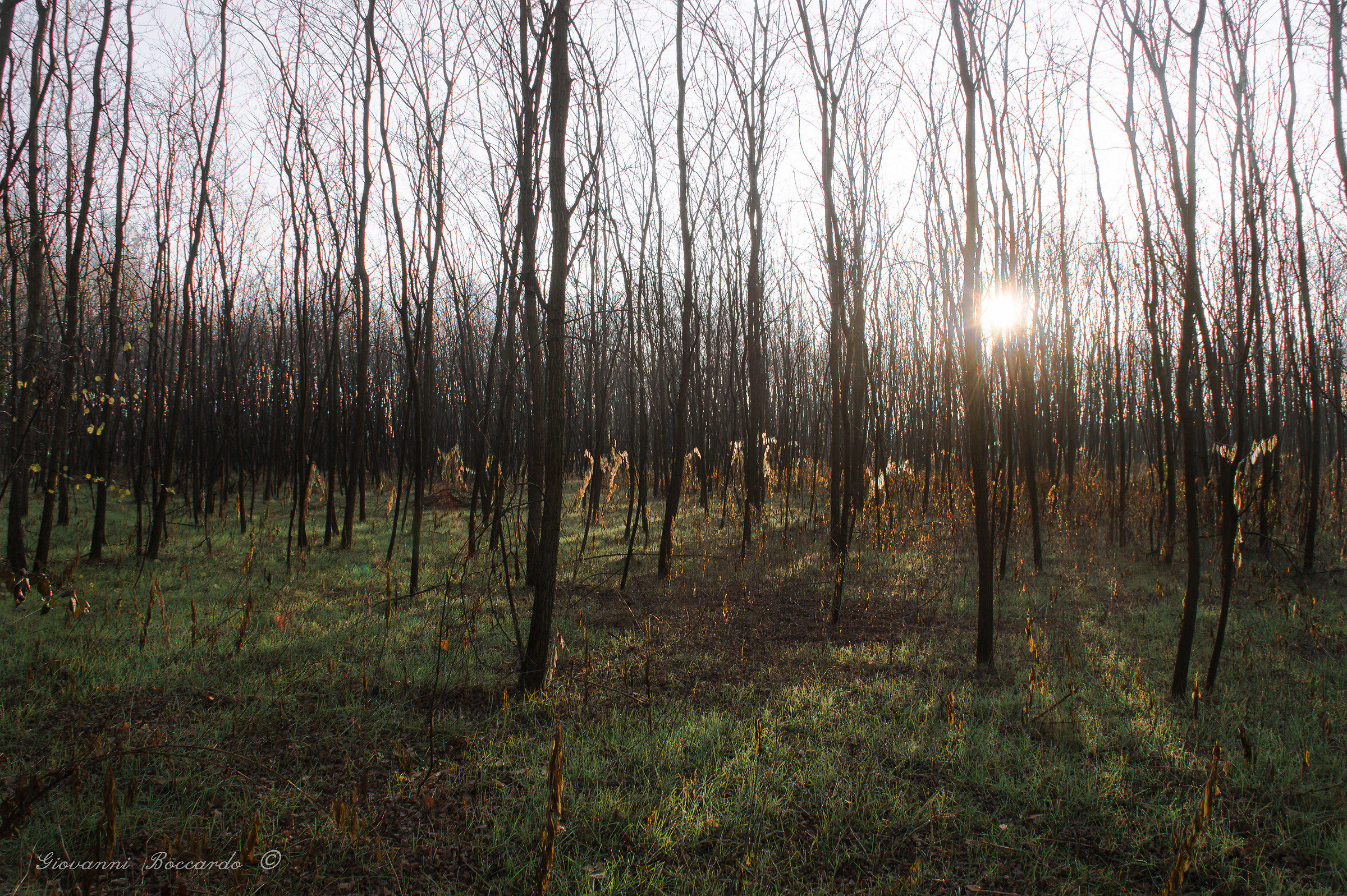 lights across the moor the Brianza