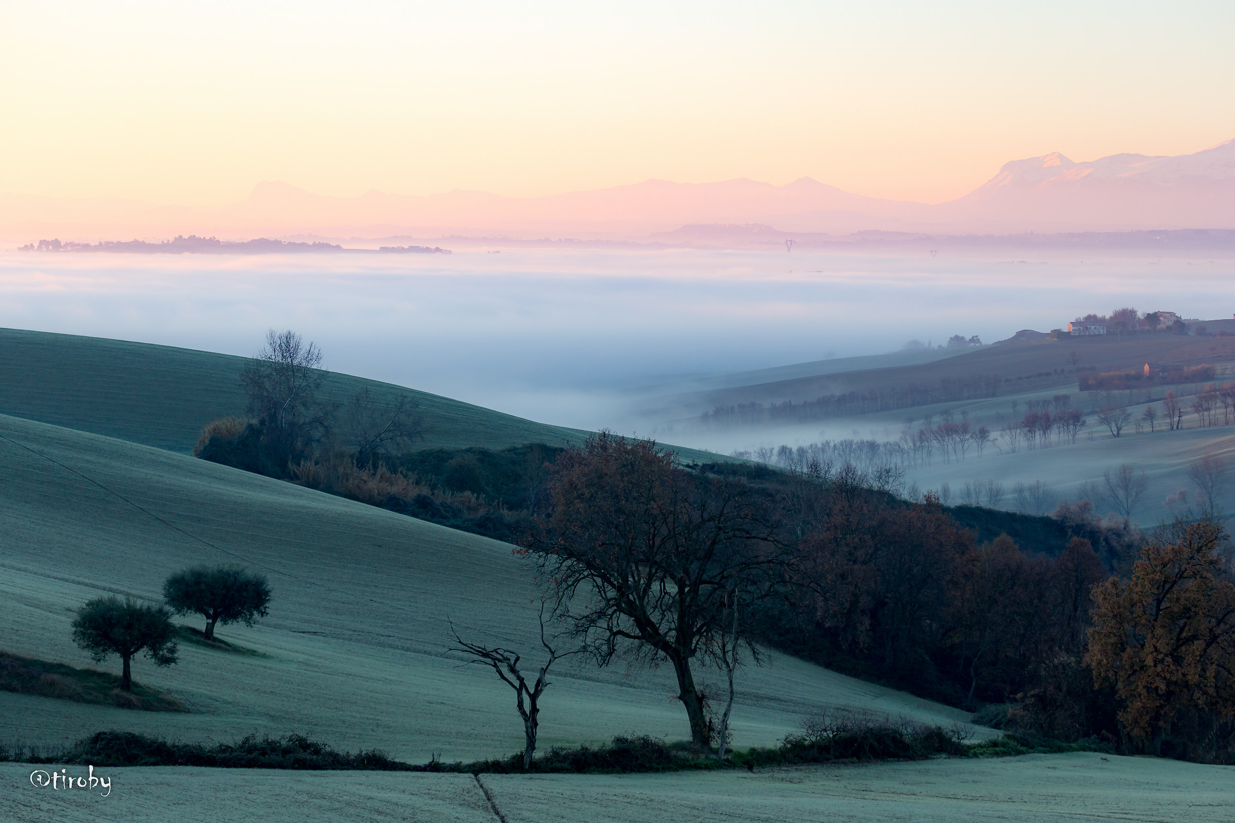 the colors of the morning
