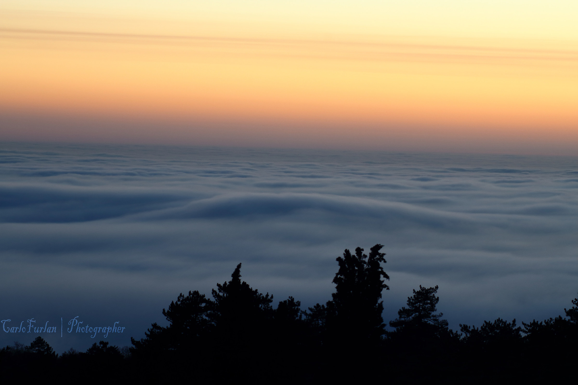 A Sea Of Fog