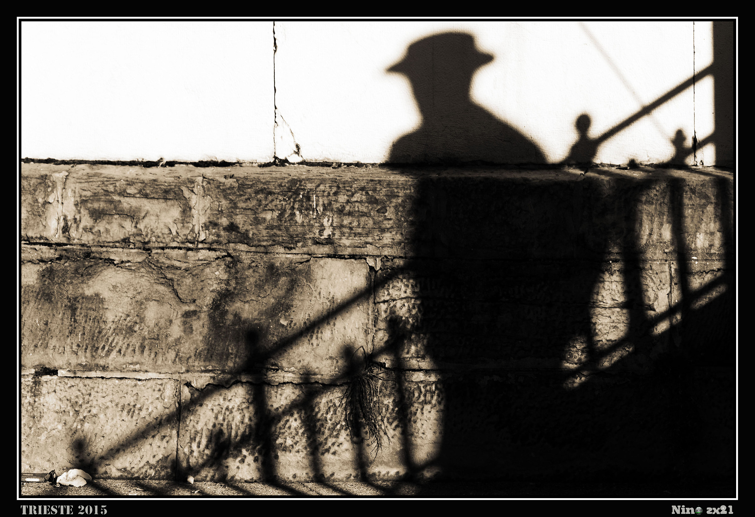 La camminata di Joyce