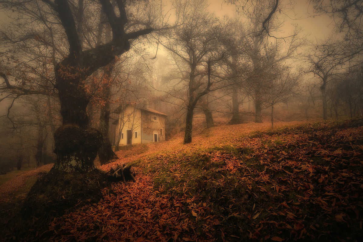 An ocean of silence ...