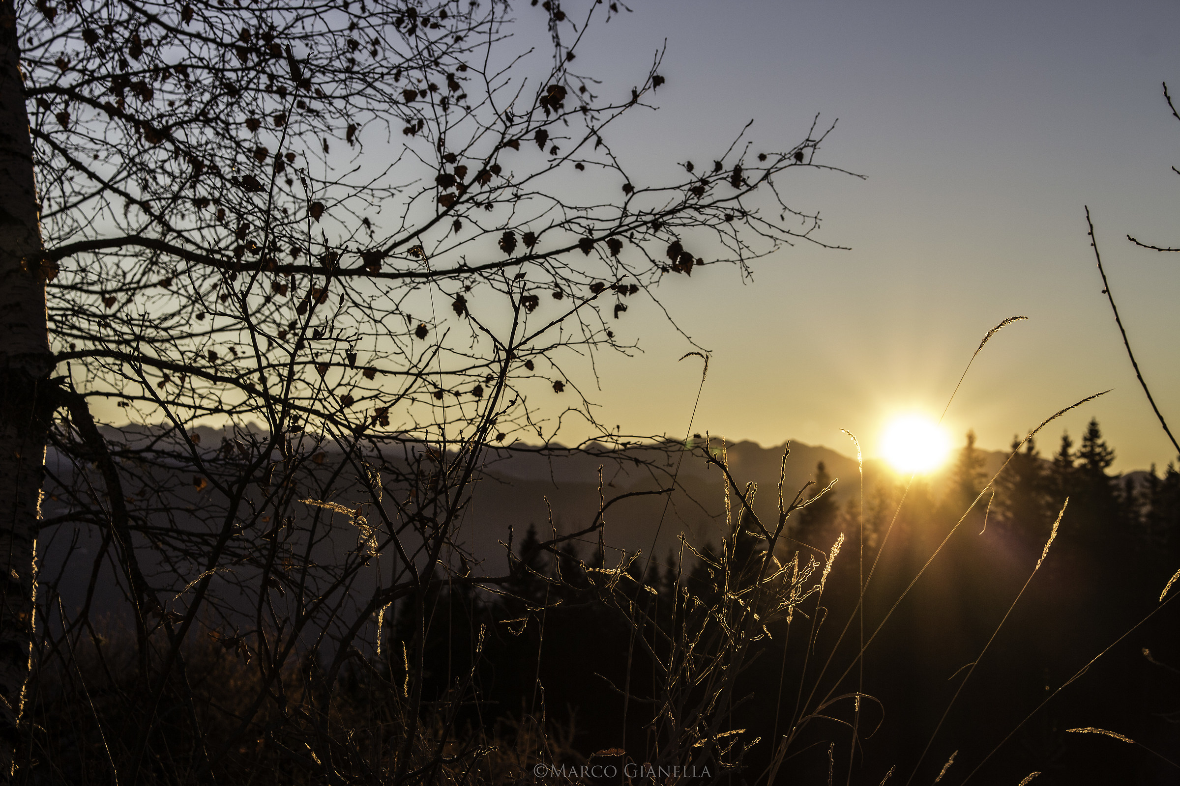 Backlight. Val di Non, Trentino