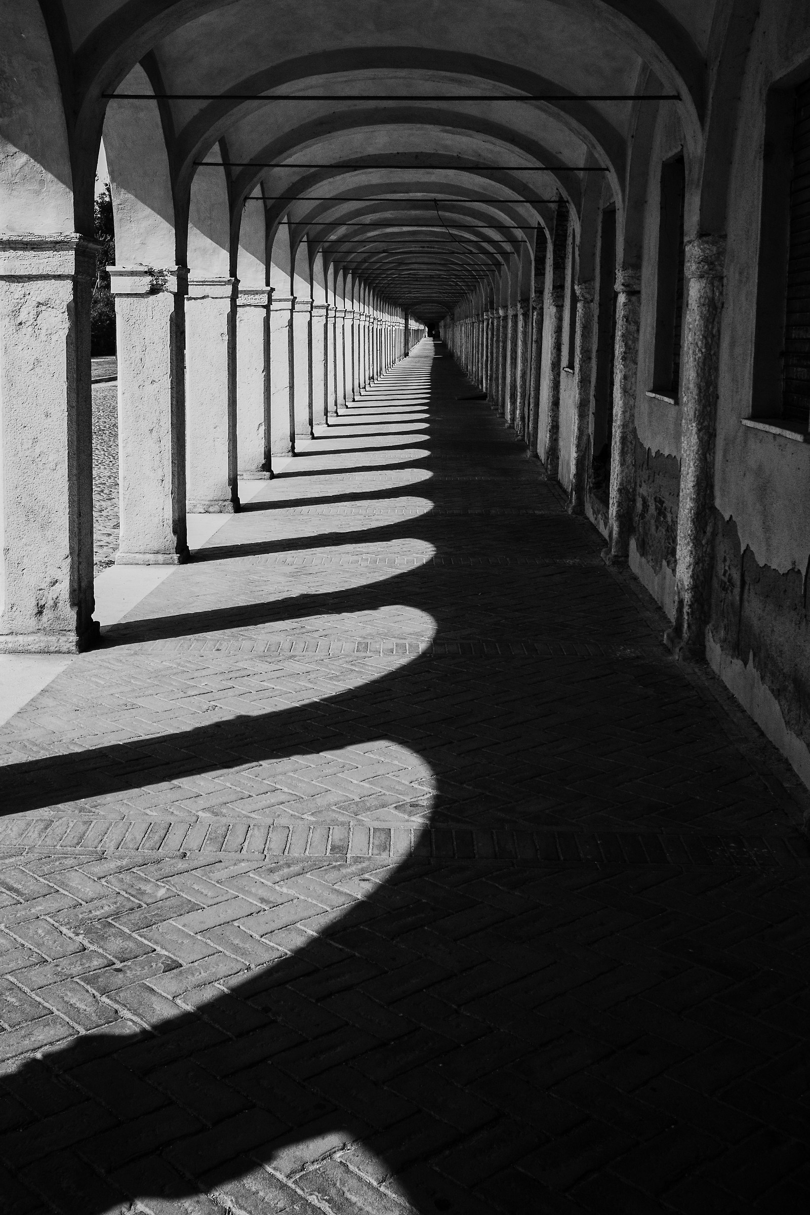 Comacchio. Symmetry