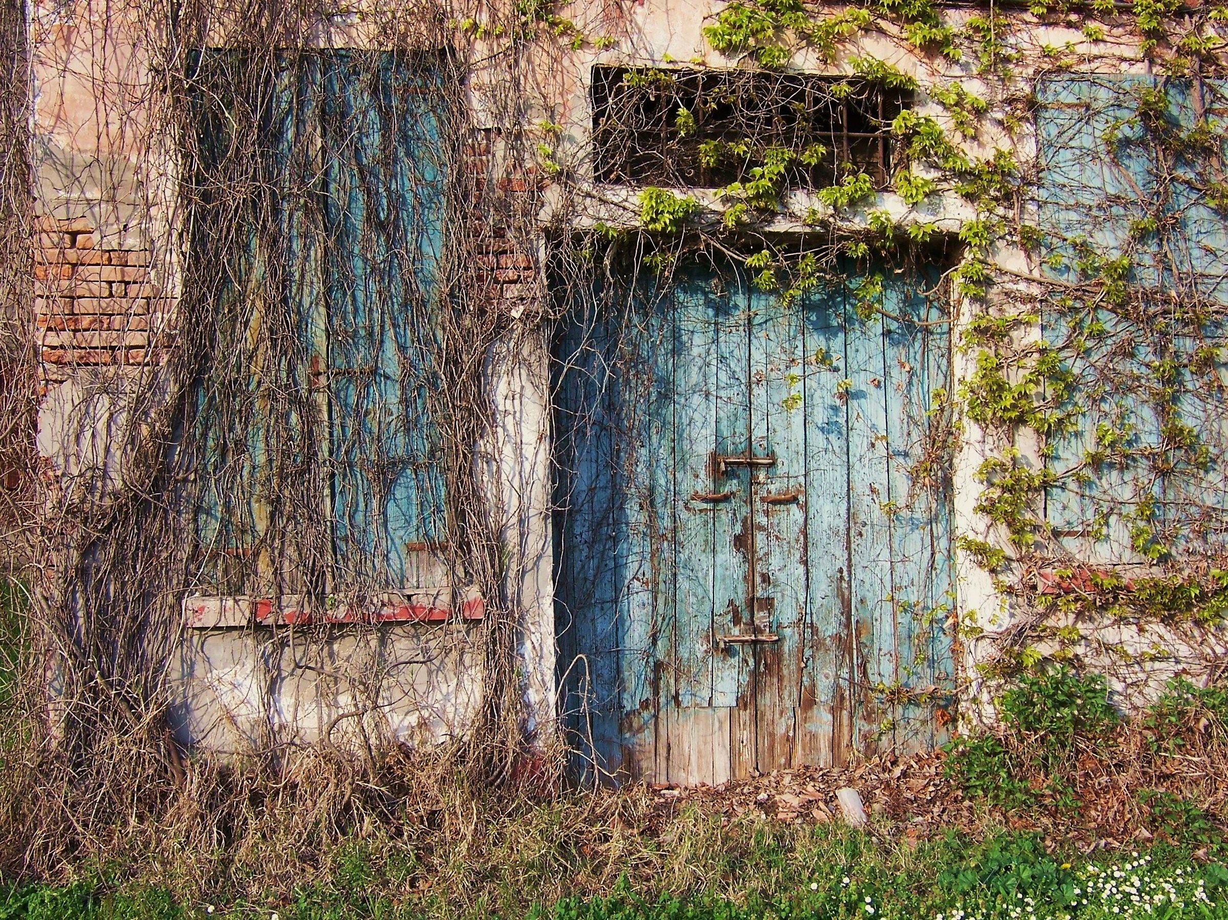 optimism of nature 1