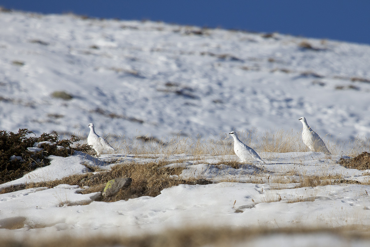 Passeggiata in alta quota