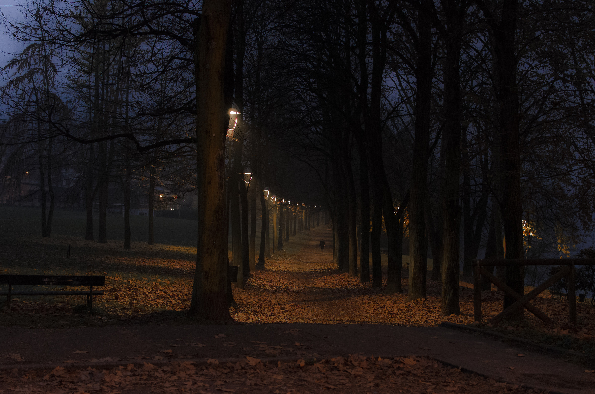 Prime luci dell'alba a Torino