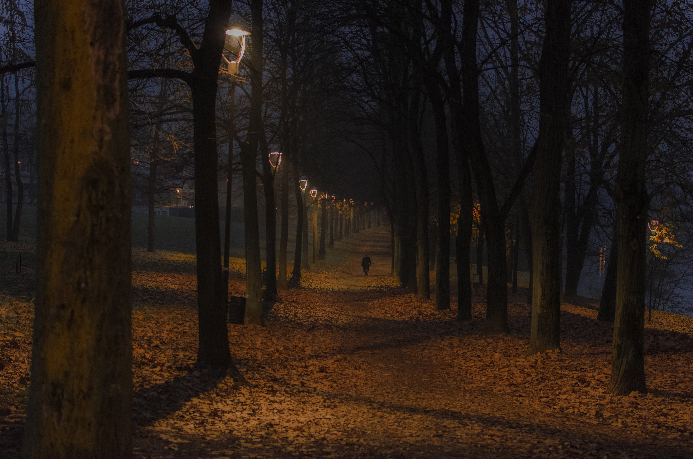 Dawn in Turin (crop)