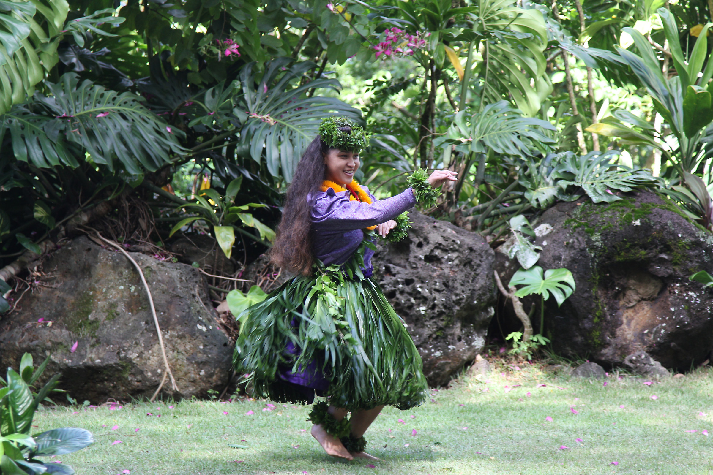 Hula Dance Competition