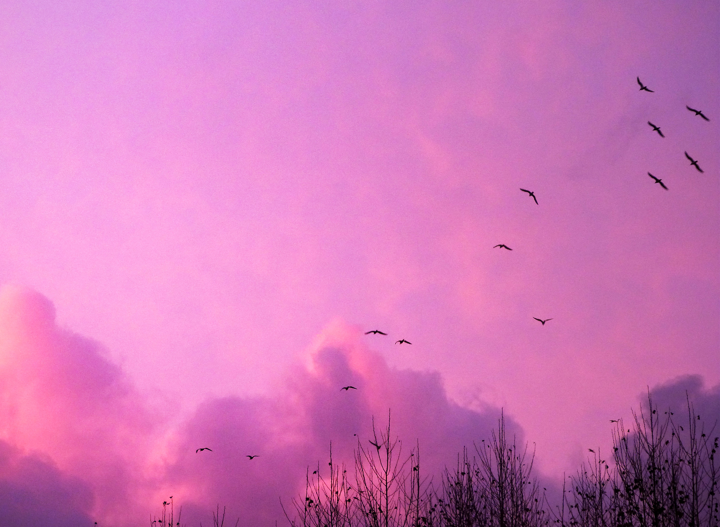 3 Pink sky