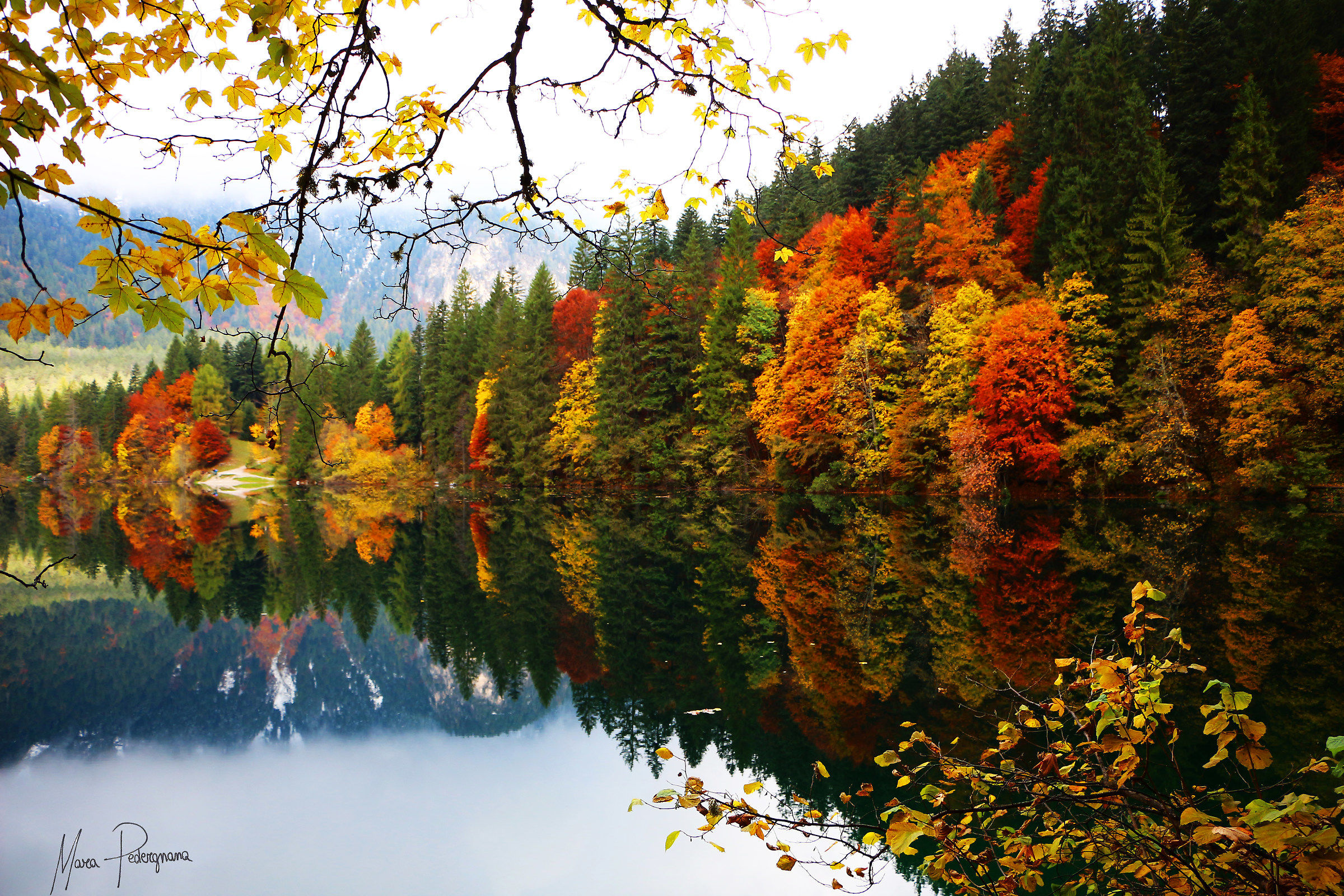 The beautiful colors of autumn