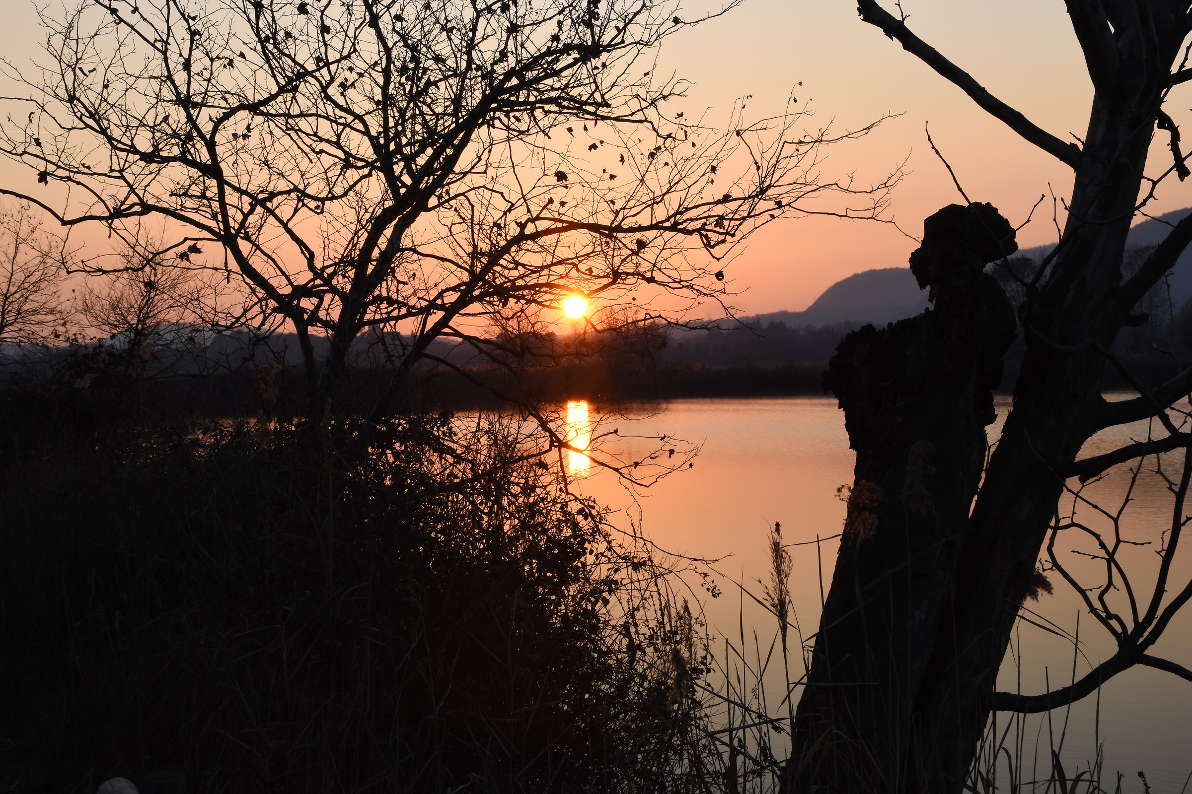 Tramonto, torbiere Franciacorta