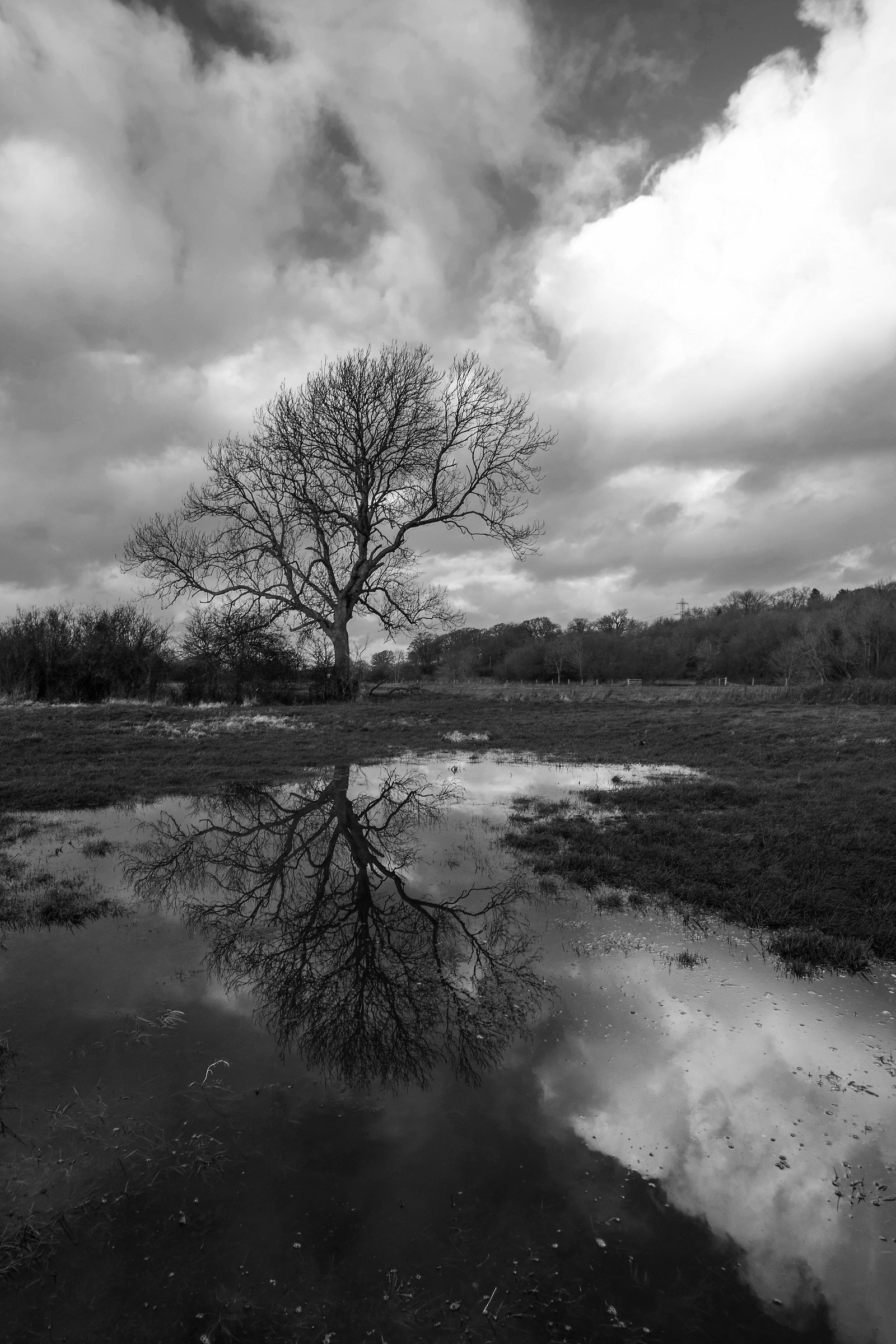 Flood Water Reflections (mono)