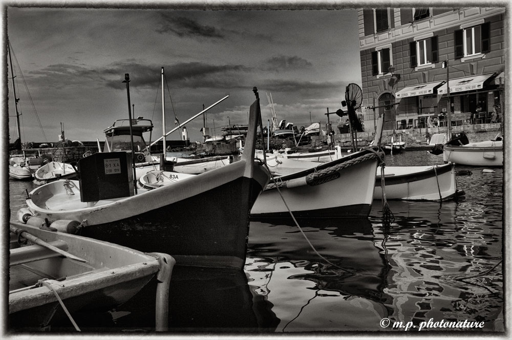 Camogli - The port