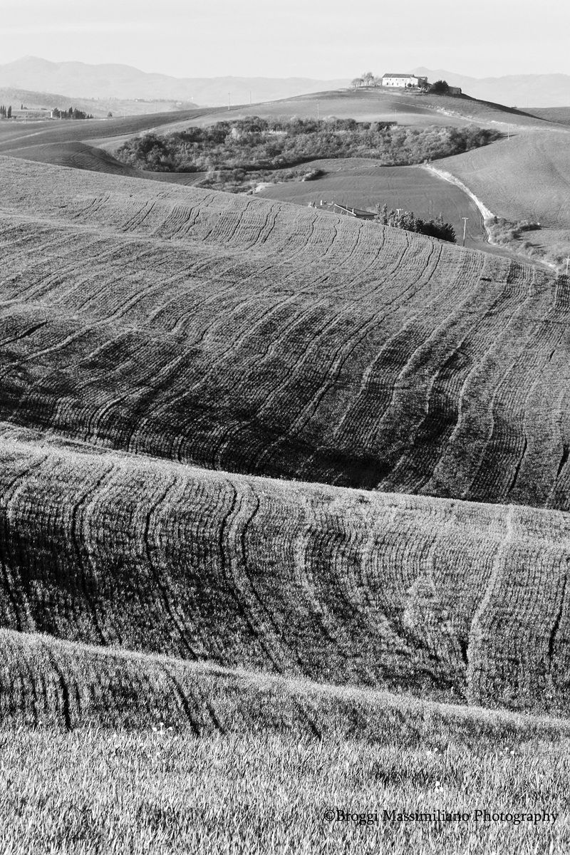 colline senesi