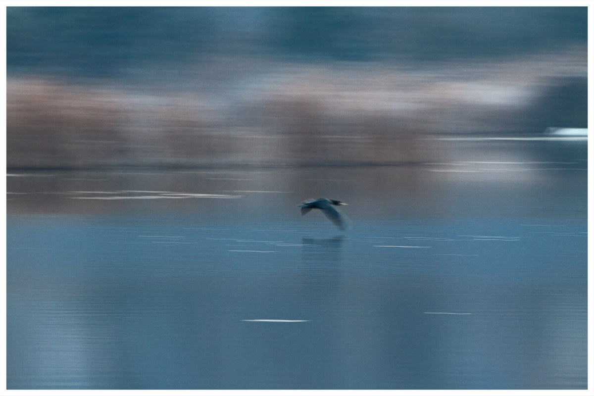 the moment (s) Poets Society