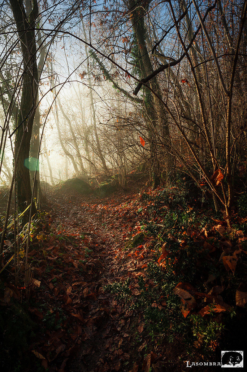 Monte Pendice - Passaggio a Nord Est