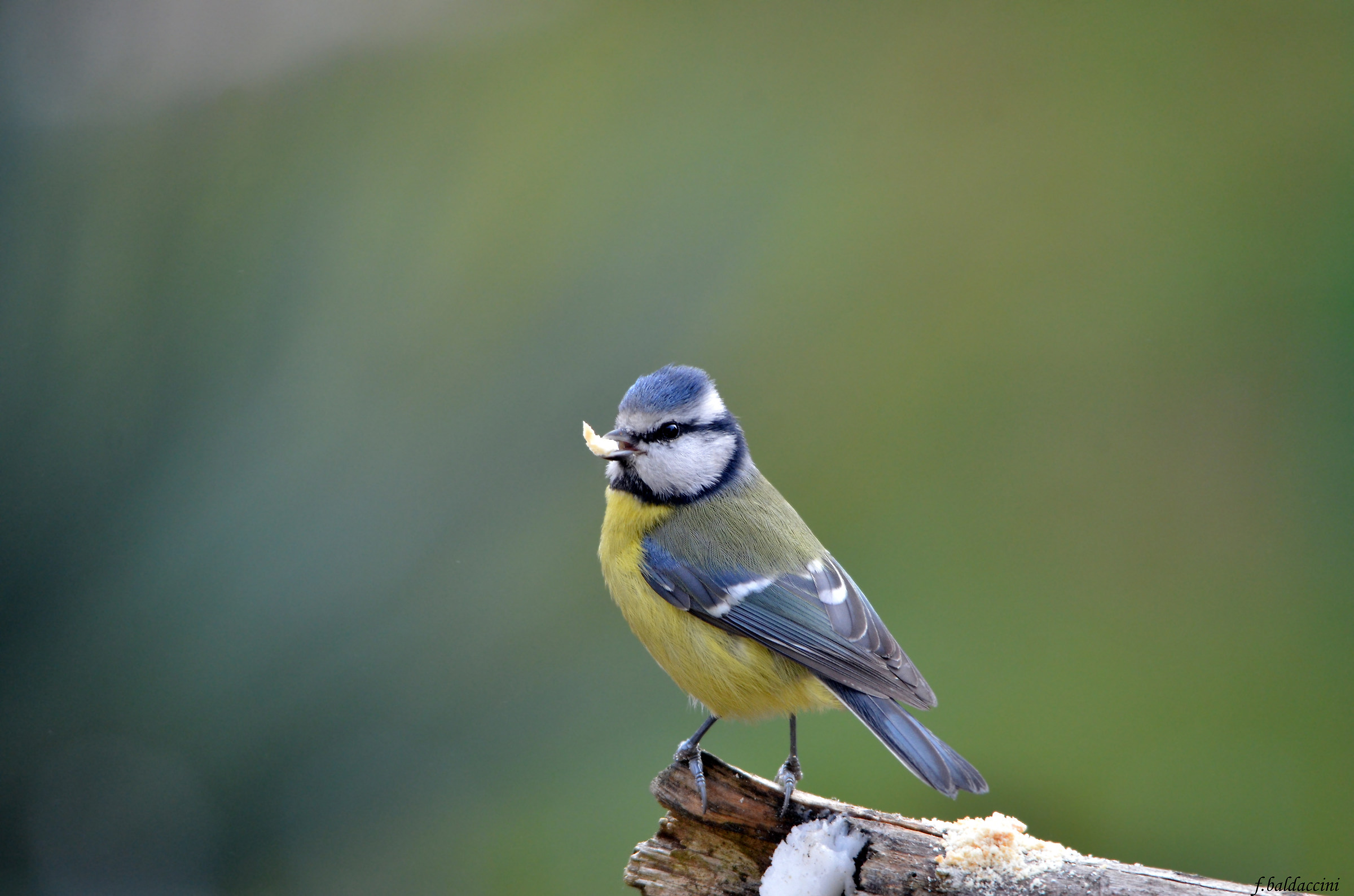 ultima del 2015-Auguri buon 2016