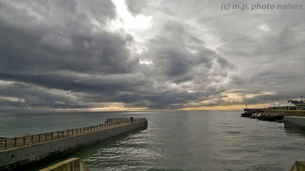 Waiting for the storm