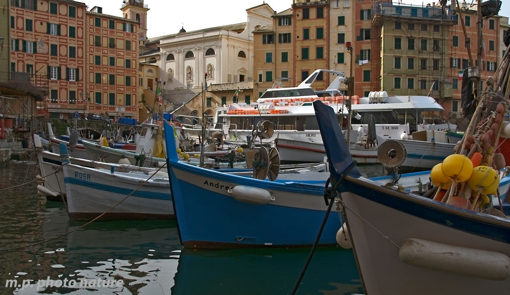 The harbor of Camogli (Ge)