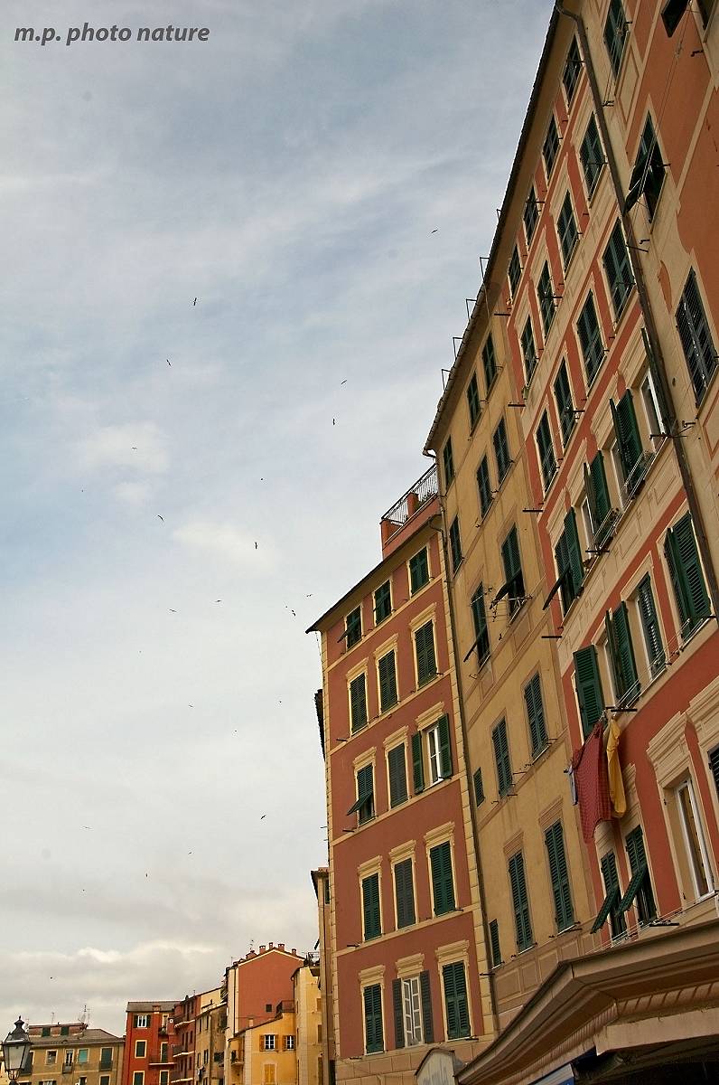 Camogli - Vertical space