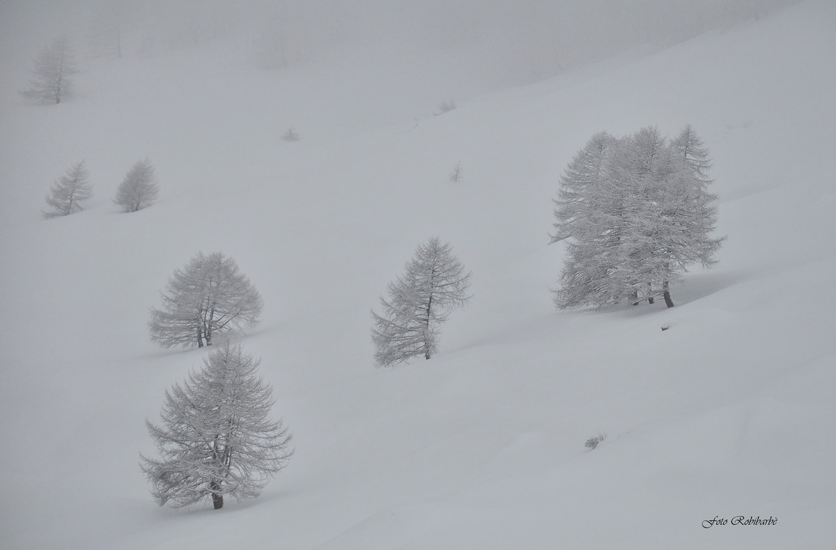L'Inverno che non c'è....