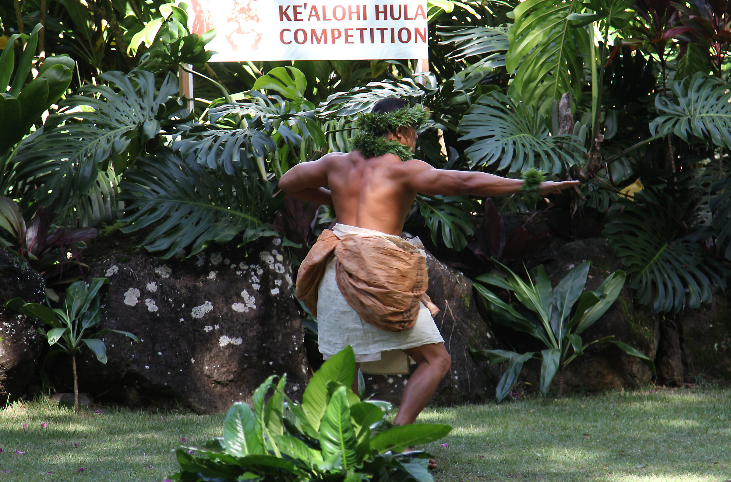 Hula gara di ballo 2