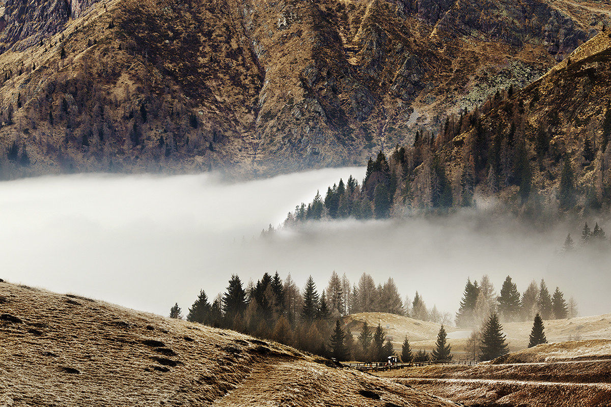 Of the Plans' Miser (Bg)