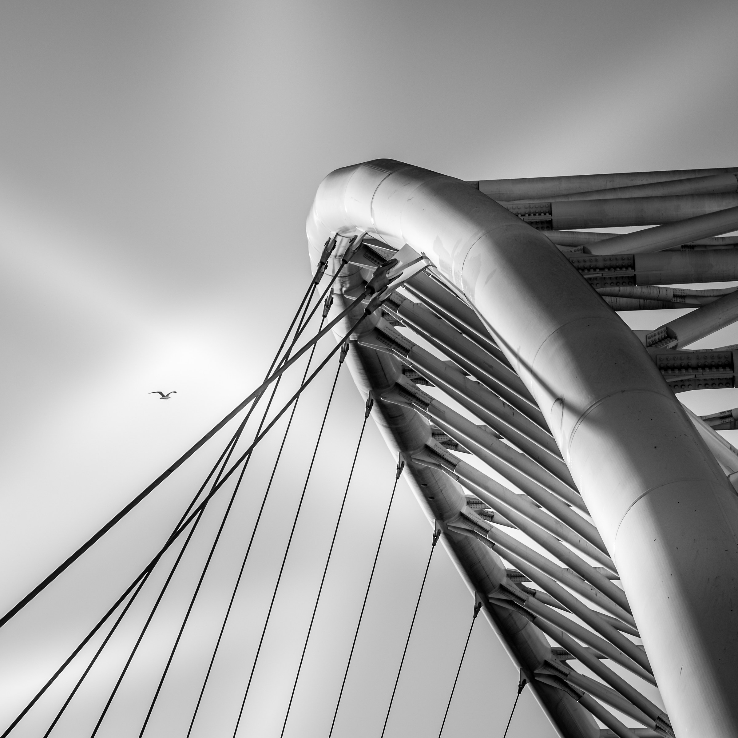 Libertà Condizionata