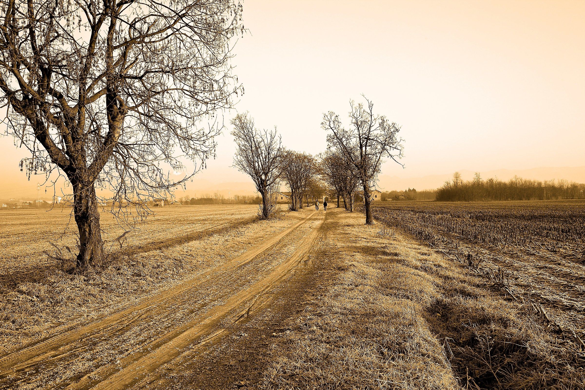 Cascina  Cavallera Vimercate