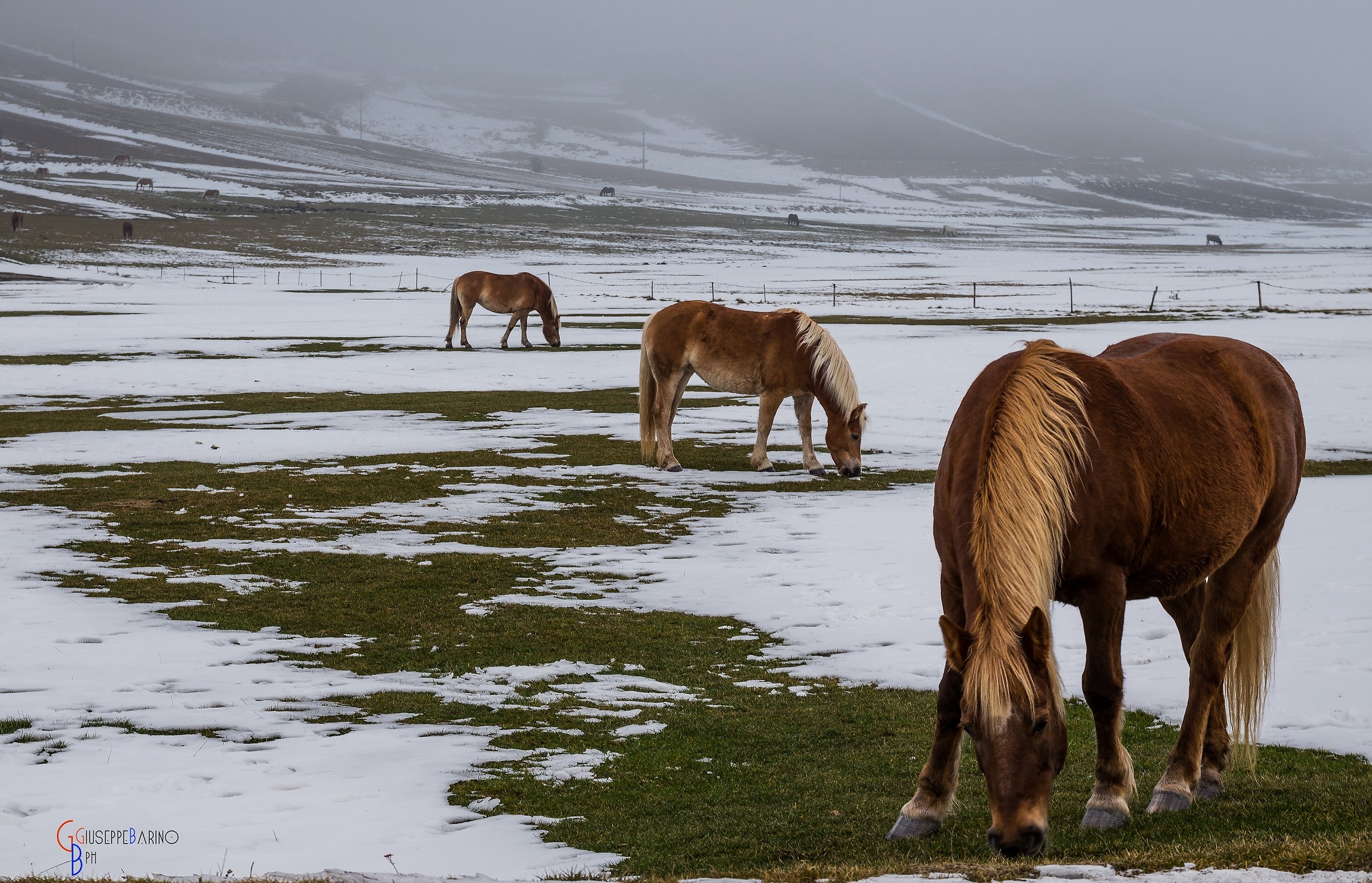 La colazione in un freddo giorno