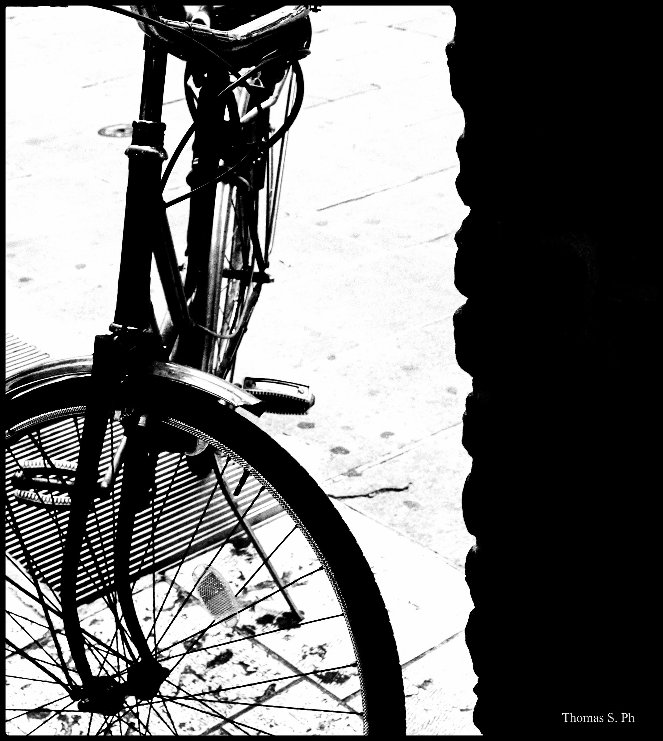 Ultimo giorno dell'anno a Ferrara.