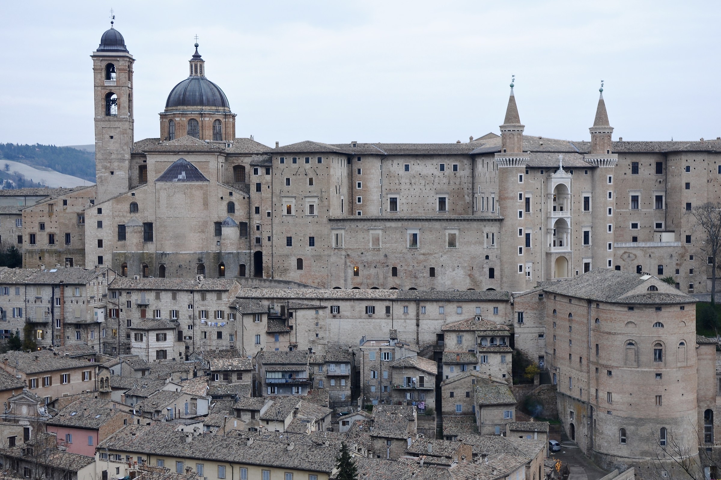 Urbino