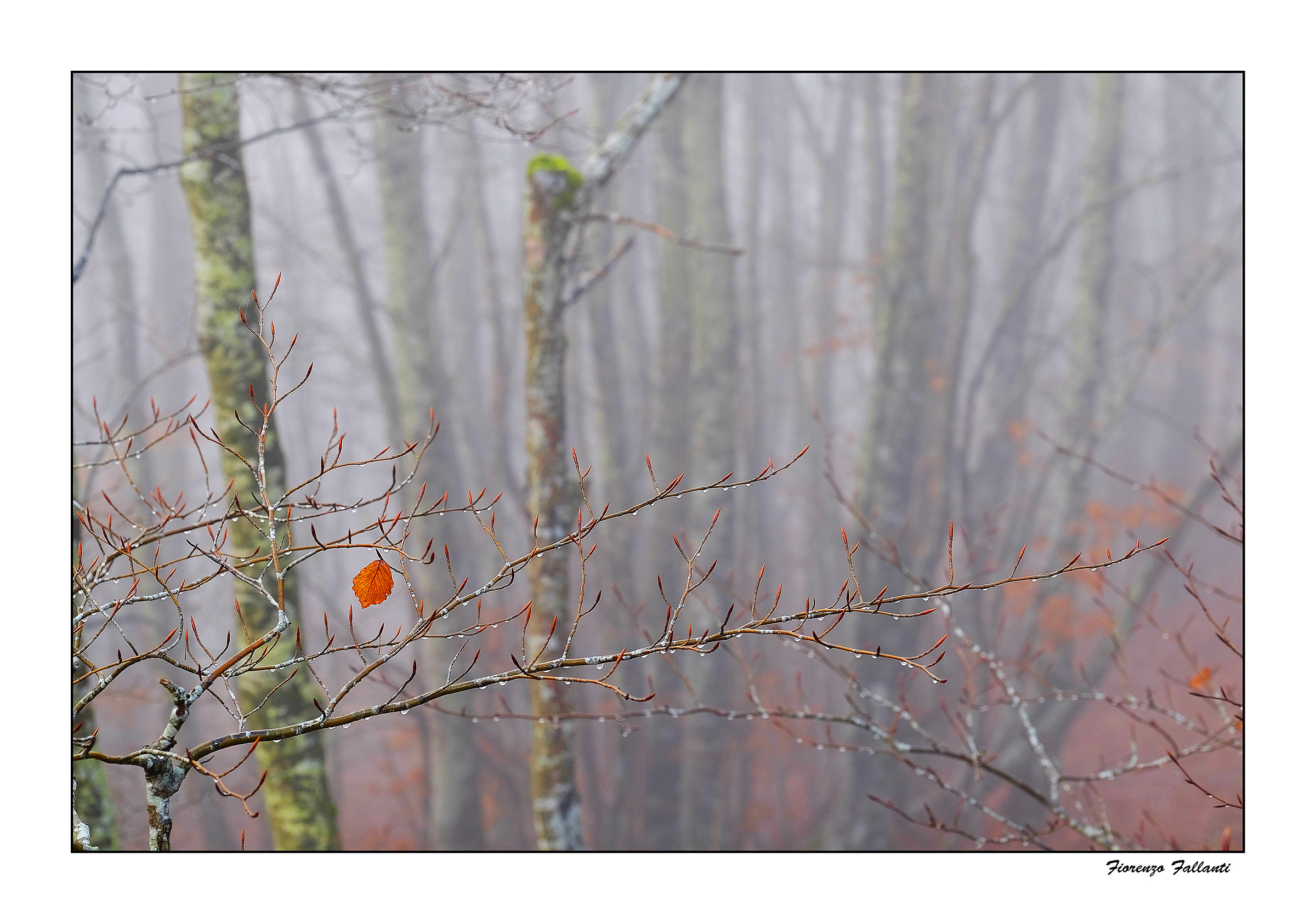 ...dentro le nubi...