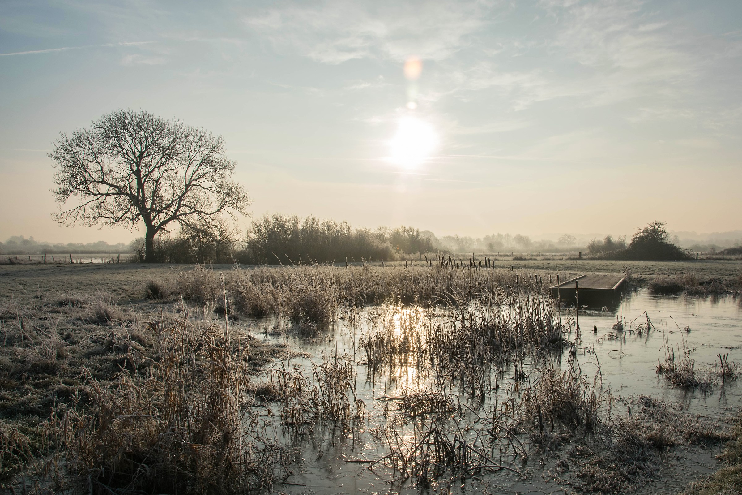 Cold and Frosty Morning