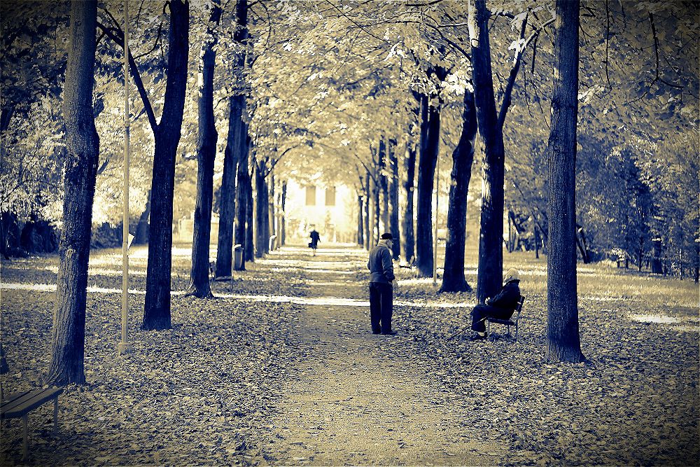 The Sunset Boulevard